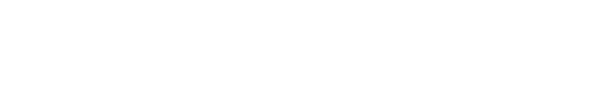 Fortesec