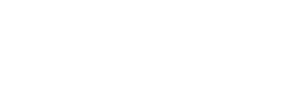 Singulare